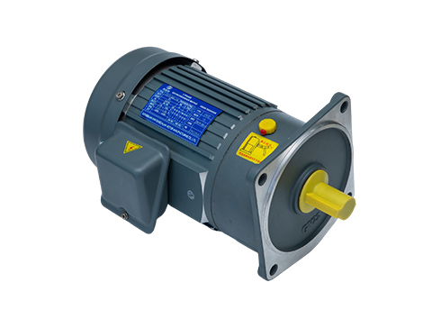 微型定速電機(jī) 微型定速電機(jī)