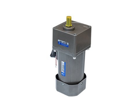 微型定速電機 微型定速電機